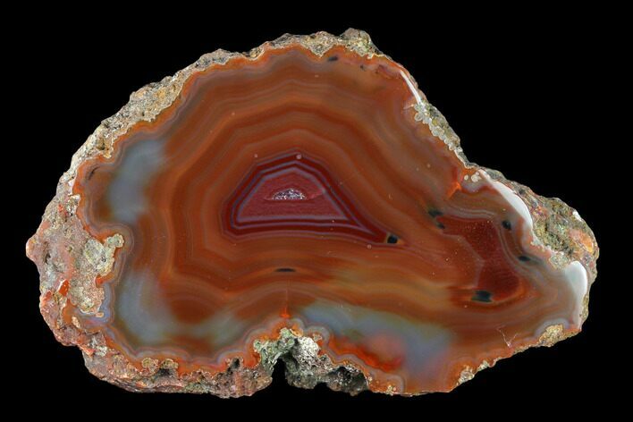 Colorful, Polished Condor Agate Section - Argentina #145529